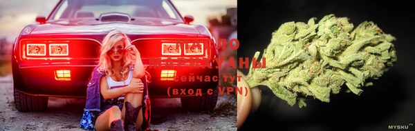 сатива Сафоново