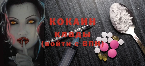 хмурый Семилуки